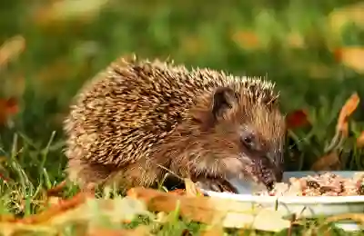 CU편의점 1+1 할인상품으로 간편식 구매하는 꿀팁 알아보자