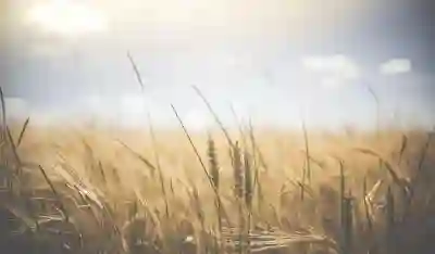 잠실역 꽃집 르자당 잠실점(소피텔 잠실 주차)