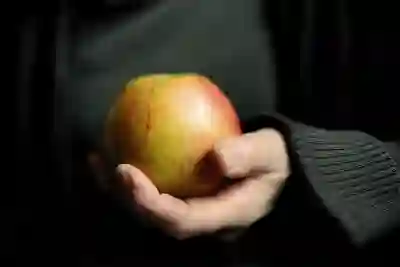 주말에 쉽고 빠르게 개인인감증명서 발급 받는 방법
