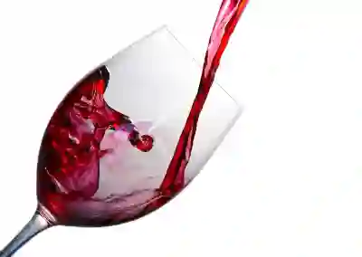 송파 와인 맛집, 포도집 2호점 디너 후기