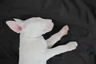 카카오톡 생일 비공개 및 프로필 업데이트한 친구 비활성화 방법