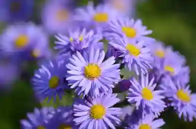 여름철 야외작업시 냉풍 쿨링 선풍기 에어컨 조끼 효과와 필요성