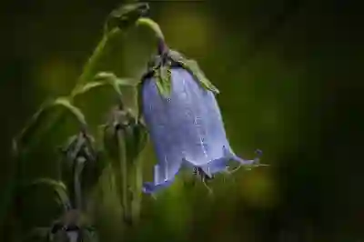 노인 일자리 관련 법규 및 정책: 현황과 미래 전망