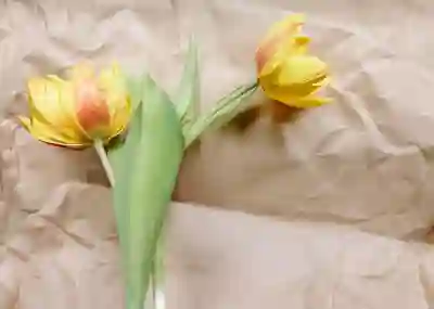국민카드 신용카드 KB 페이 사용 간단 해지 방법