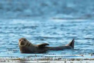 대리인이 인감증명서를 받기 위해 준비해야 할 필수 사항
