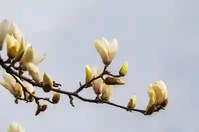 매교역 푸르지오 SK뷰 임장 후기 및 환경 분석