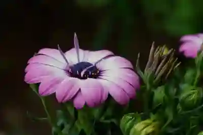 거제 식물원과 정글타워, 거제도에서 아이 데리고 갈만한 곳