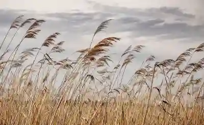용인 보평실내테니스장 방문을 위한 알아보자