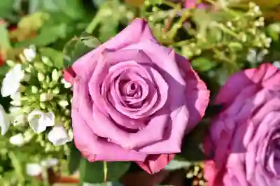 뵈브 클리코 로제의 매력을 알아보자