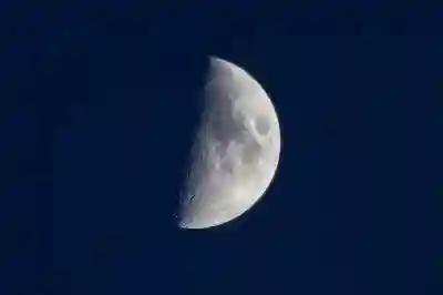 2025 서울 하프마라톤 신청 방법과 주의사항 알아보자