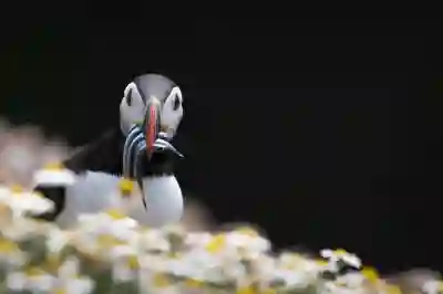CU 재고 조회 간편하게 하는 방법 알아보자