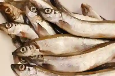 구글 포토 사진 전체 다운로드 방법 알아보자