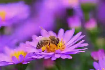 허밍 검색으로 음악 찾는 3가지 방법 알아보자