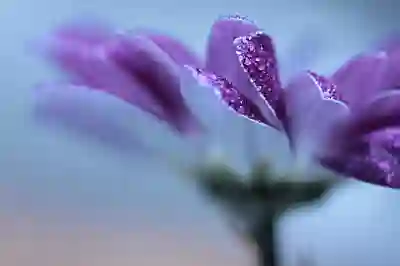 포장이사 업체 추천과 비용 비교 방법 살펴보기