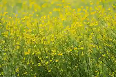 허밍으로 노래 찾는 간편한 방법 알아보자