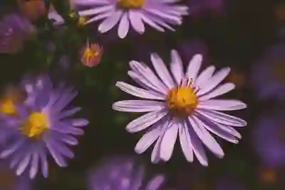 미래엣세 장전 동시 호가 알아보자