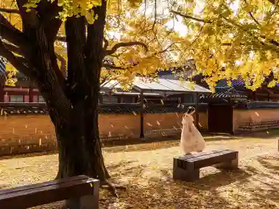 서울보증보험 채무기록 삭제에 관한 필수 정보 알아보자