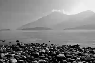 장녀금 신청 여부 알아보자