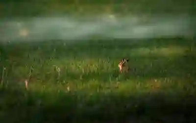 카카오페이 종합계좌 활용법 알아보자