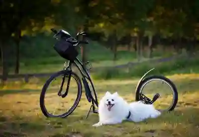 개신돈 사고자 대출받는 방법 알아보자