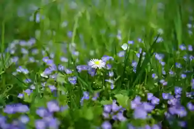 사장이 연락을 안 할 때 대처하는 방법 알아보기