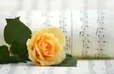 로드킬 사고 배상 및 보상 절차 알아보자