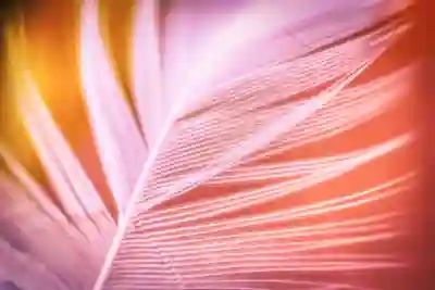 벌금 및 과태료 가족이 조회하는 방법 살펴보자