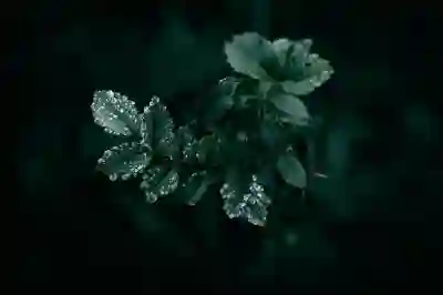 주소보정 후 당사자표시 정정하는 꿀팁