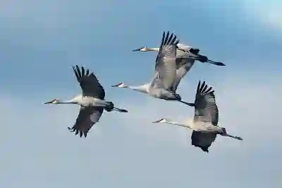 택스리펀과 택스프리의 차이점 알아보자