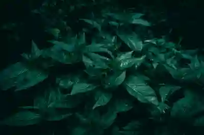 무급휴직 후 연차 정리하는 방법 알아보자