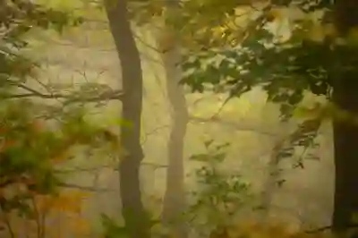 자진퇴사 후 실업급여 받는 방법 살펴보기