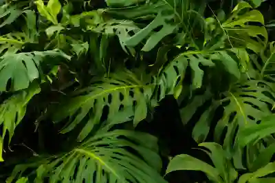 무급휴직과 유급휴직의 차이를 알아봅시다